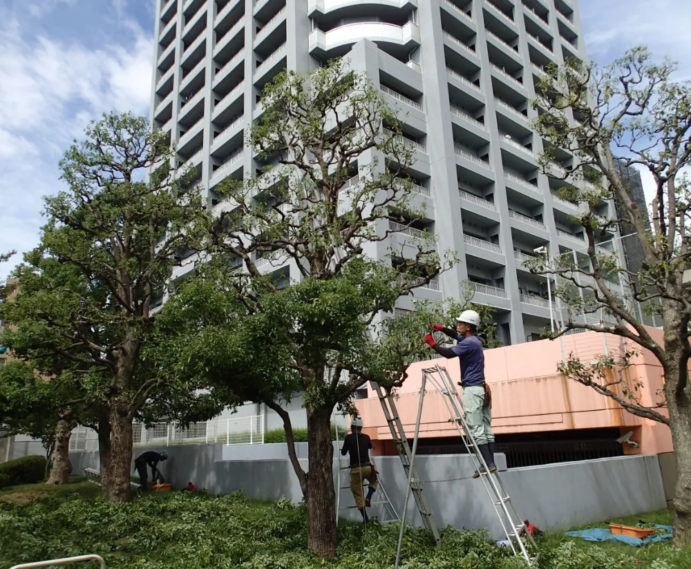 豊富な知識で多様なニーズにお応えします