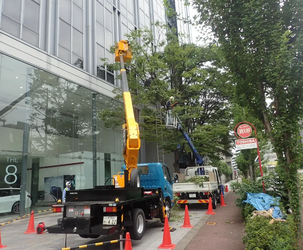 高木の剪定及び伐採もお任せください