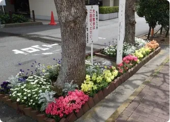 植栽維持管理