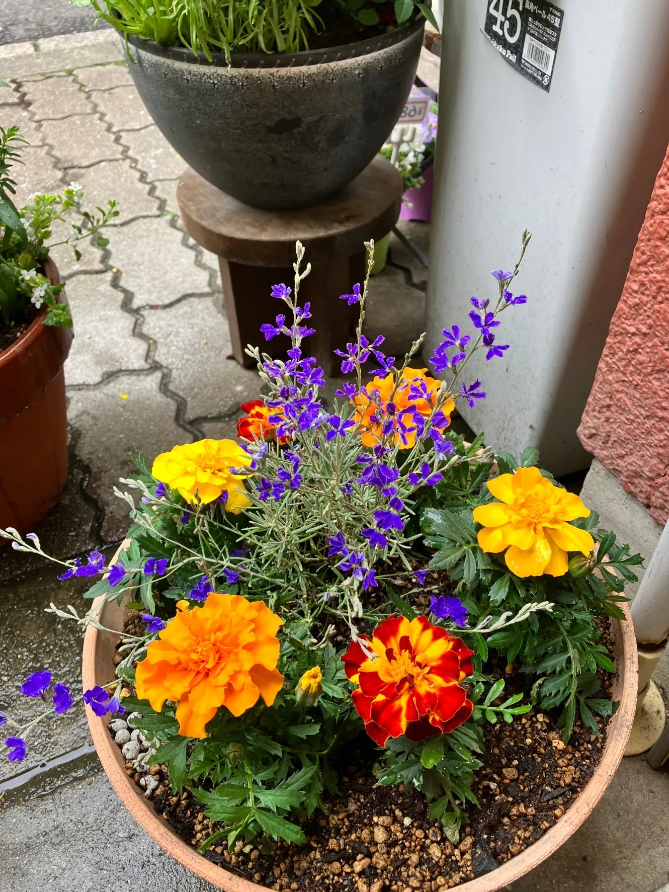 その他の実績や寄植・植替