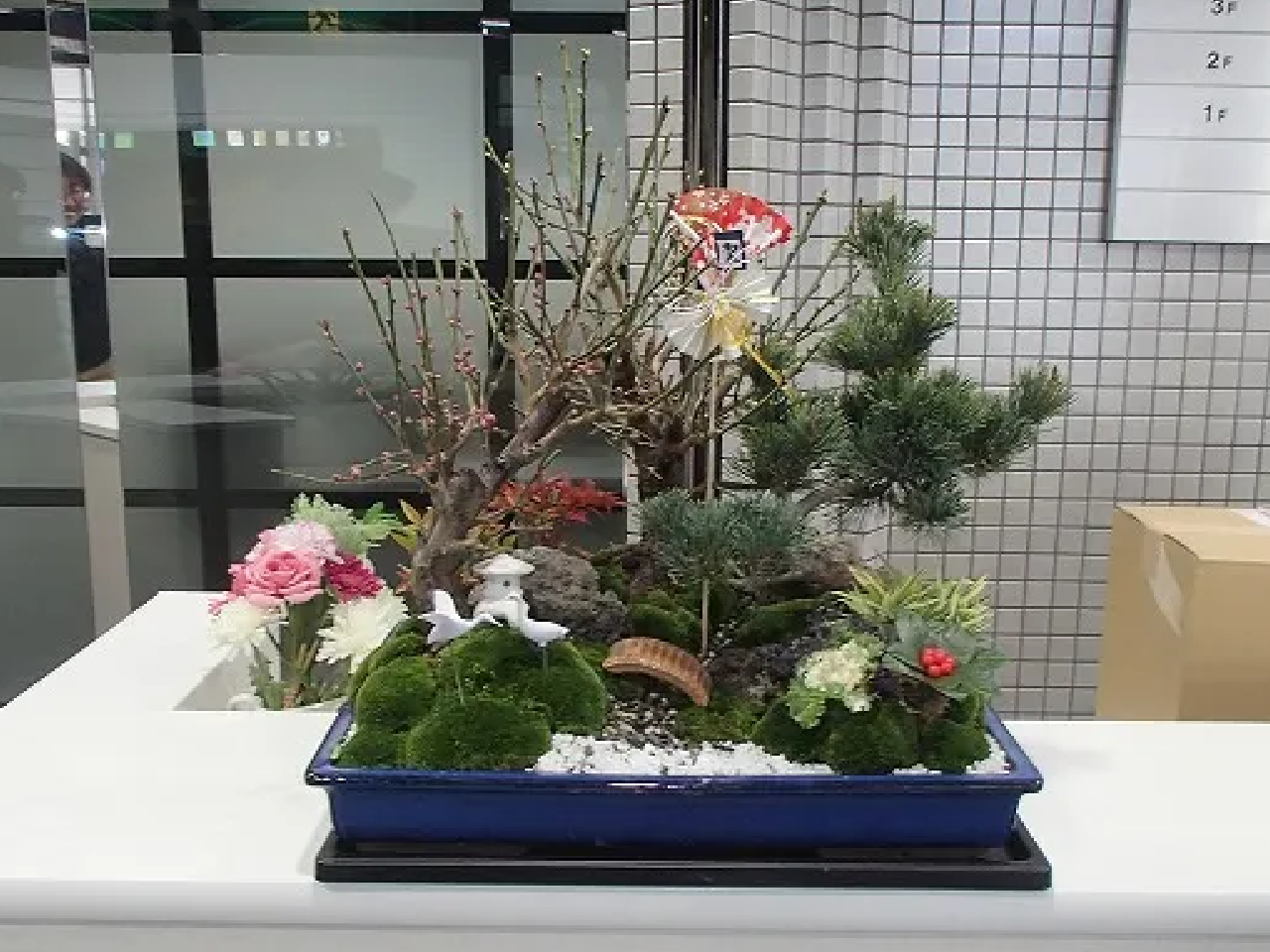 その他の実績や寄植・植替