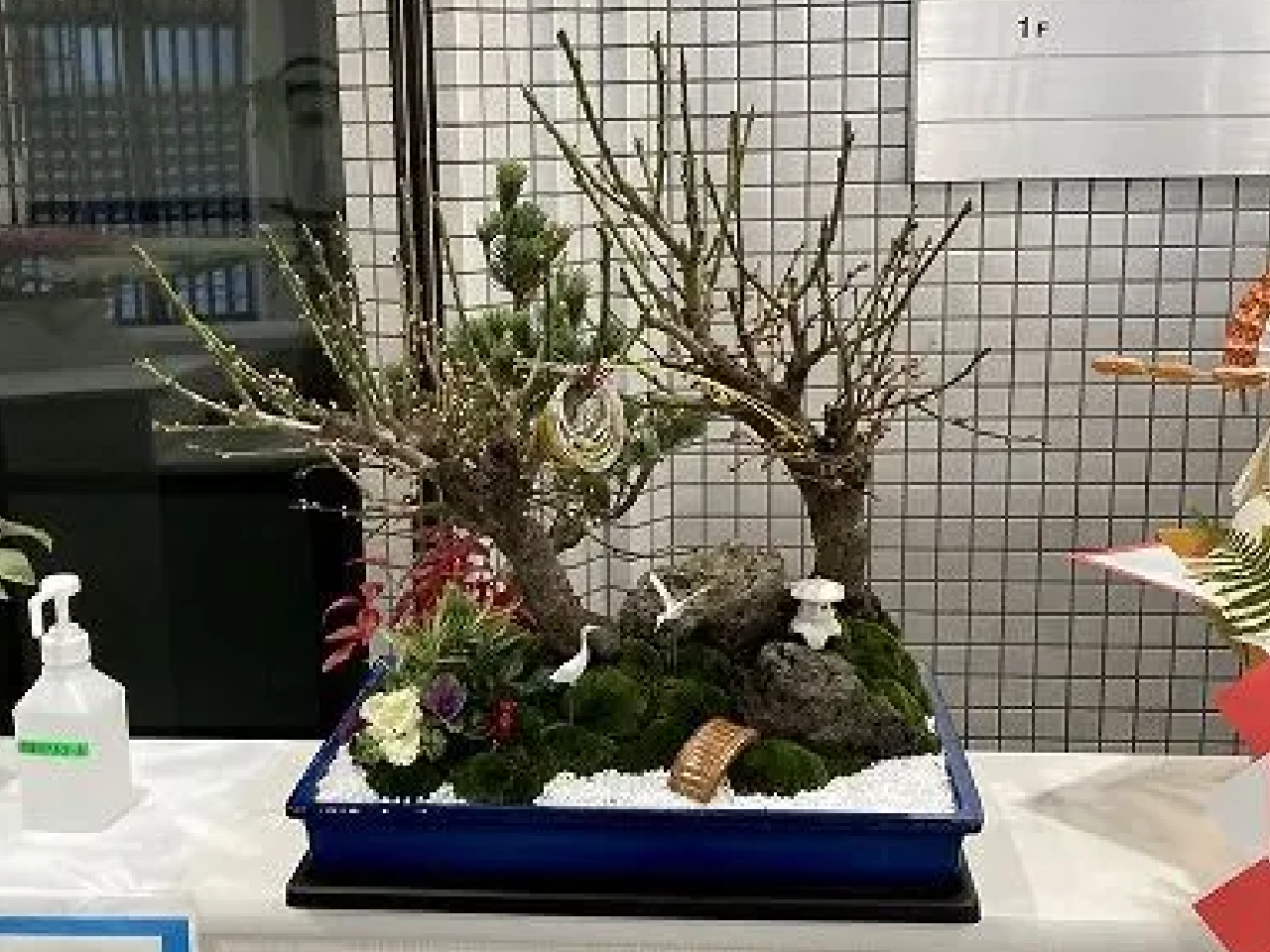 その他の実績や寄植・植替