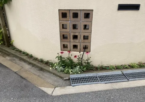 その他の実績や寄植・植替