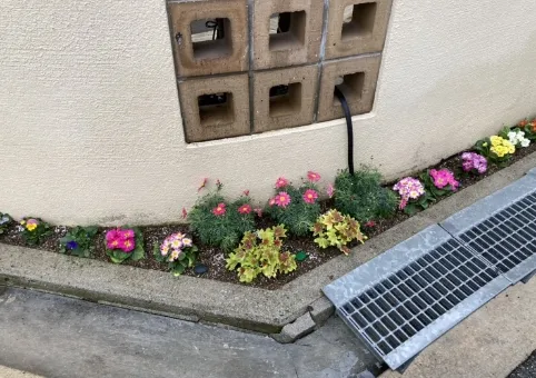 その他の実績や寄植・植替