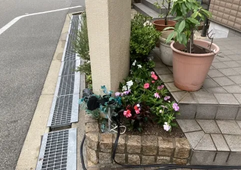 その他の実績や寄植・植替