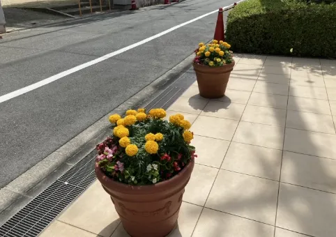 その他の実績や寄植・植替