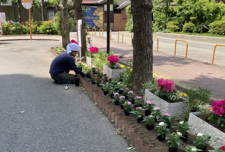 採用情報